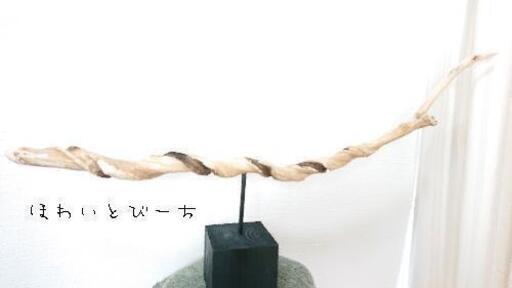 流木オブジェ ホテルフロント
