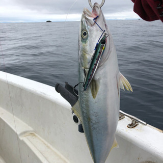 釣り未経験から始める船釣り、タイラバ❗️ジギング❗️