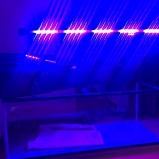最終値下げ！水槽 1200 LEDライト付き