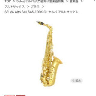 SELVA セルバ アルトサックス 石橋楽器（イシバシ楽器 サックス