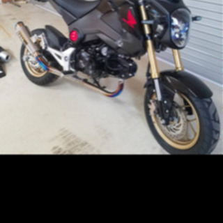 グロム　GROM 絶好調綺麗