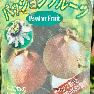 グリーンカーテンの中古が安い 激安で譲ります 無料であげます ジモティー