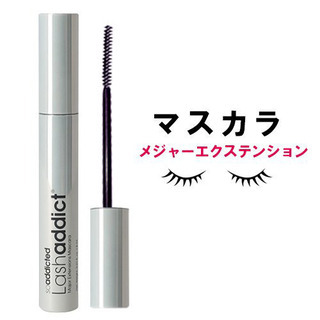 【ネット決済・配送可】lash addict(ラッシュアディクト...