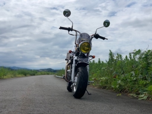 メッキゴリラ　1979年　武川　88cc