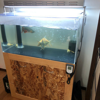 900 水槽　オーバーフロー