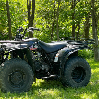 バギー YAMAHA ティンバーウルフ 250cc