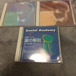 歯の解剖 骨学 筋学 DVD 東京歯科大学解剖学教室