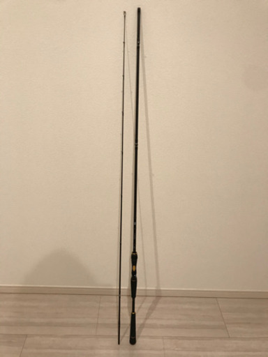 流行に ダイワ ラテオ 86lb R 美品 ベイトロッド 期間限定おまけ付 その他 Elitemdsacademy Co In