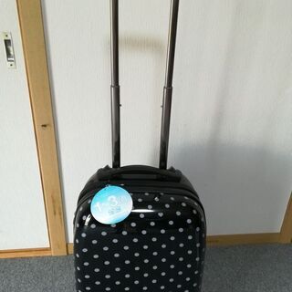 【ネット決済】機内持ち込み対応サイズのスーツケース