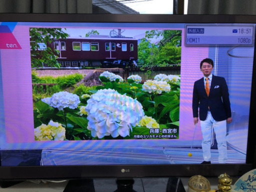 テレビ