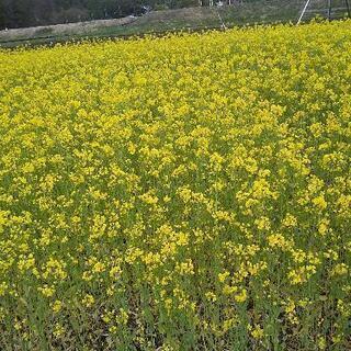 悩み事ありませんか⁉️些細なことでも大丈夫です❗️