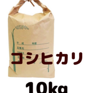 コシヒカリ10kg