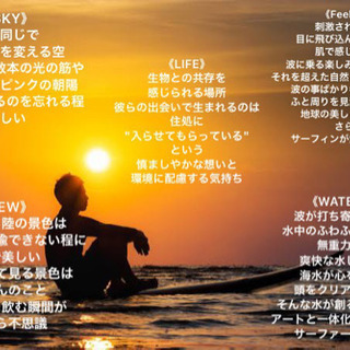 《SURFING》 平日メンバー募集