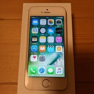 【ネット決済・配送可】【長期外出中】iPhone 5s Soft...