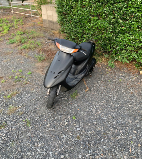 ライブディオ　原付　車体　バイク　50cc