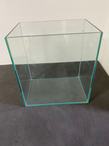 30センチガラス水槽ハイタイプ小型水槽 ヒゲガエル さいたまのその他の中古あげます 譲ります ジモティーで不用品の処分 30センチガラス水槽ハイタイプ小型水槽 ヒゲガエル さいたまのその他の中古あげます 譲ります ジモティーで不用品の処分