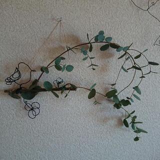 🌿ユーカリと小鳥さん壁飾り3️⃣🐦ハンドメイド