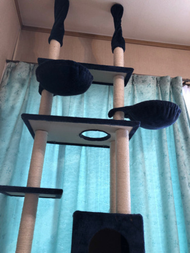 キャットタワーお取引終了