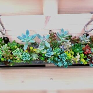 中古壁掛けプランターが無料 格安で買える ジモティー