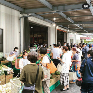 八百屋さんの正社員募集です。