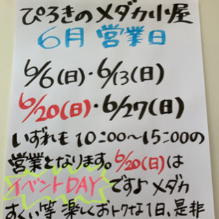 🐟めたが販売🐟ぴろきのメダカ小屋•6月営業日のご案内