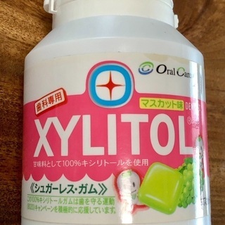 甘味料としてキシリトール100%の歯科専売品　XYLITOL シ...