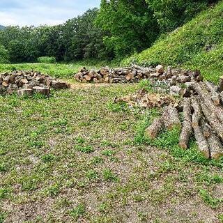 薪販売　薪割り場　薪割り機レンタルします - 塩尻市