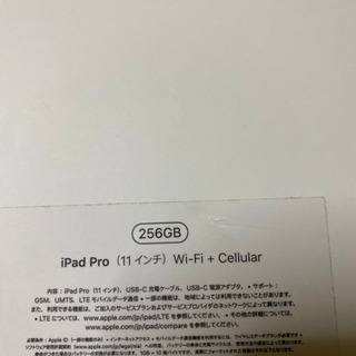 iPadpro11 256 SG 