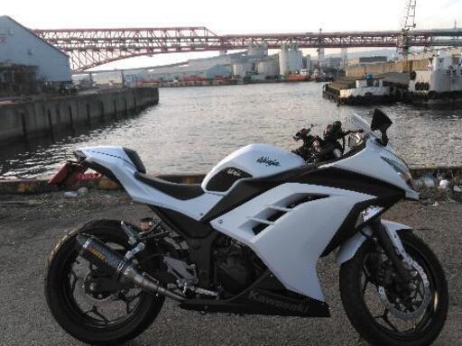 【カワサキNinja】250cc白　2013年モデル　カスタム有