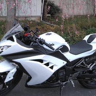 【カワサキNinja】250cc白　2013年モデル　カスタム有