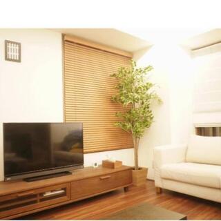 新品 】 ACTUS アクタス ACTUS|TVボード|RIMO RIMOⅡ Ⅱ 160AV-board