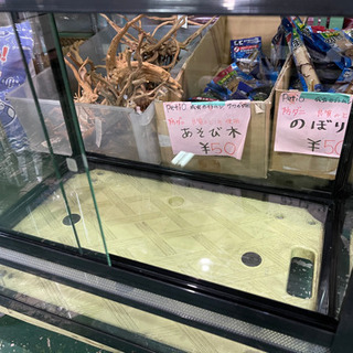 ビバリア 飼育ゲージ 爬虫類 REPRO645 鍵なし ガラスゲージ 中古