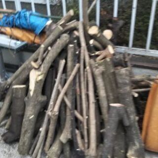 木の太枝、アウトドア、薪に