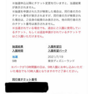 7月19日9時入園当選ディズニーランドチケット（大人2枚）