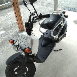 問合わせ中止【人気原付バイク】50cc HONDAズーマー（ZO...