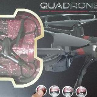 QUADRONE SPARROW