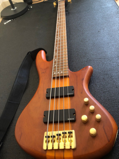 SCHECTER STILETTO STUDIO 5弦ベース