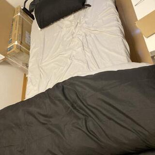殆ど新品のシングルサイズのパイプベッドと新品のトゥルースリーパーと折り畳みマットレス付！（受付終了！） 殆ど新品のシングルサイズのパイプベッドと新品のトゥルースリーパーと