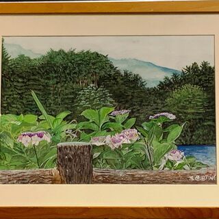 素人絵画（水彩・水墨）３２「裏磐梯　五色沼に咲く紫陽花」