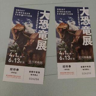 大恐竜展　2枚　2600円相当　佐川美術館