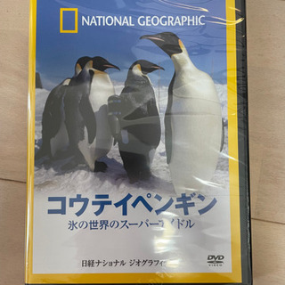ナショナルジオグラフィック　コウテイペンギン