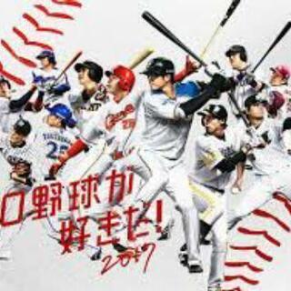 プロ野球好き大募集！⚾