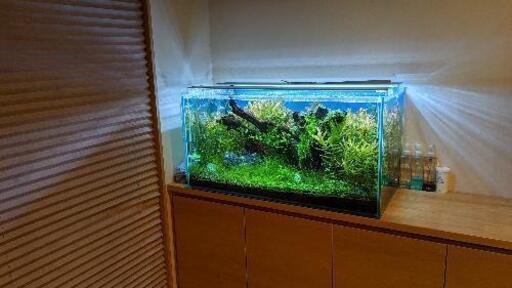 90x45x45 アクアリウム水槽と水槽用品一式