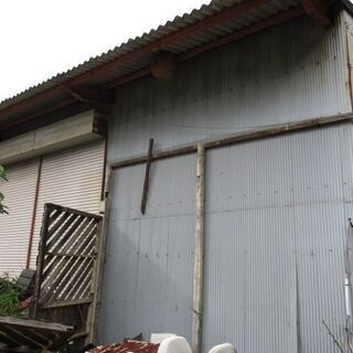 スズメバチの巣