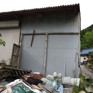 スズメバチの巣