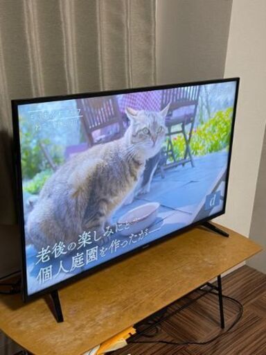 【2019年製】Hisense4K高画質対応液晶テレビ  [50インチ]