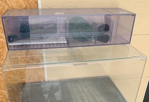 アクリル水槽・水槽台・大容量上部フィルター | alfasaac.com