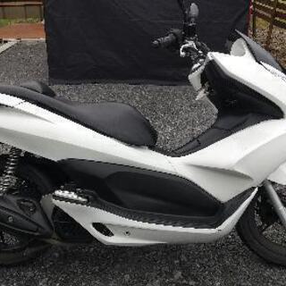 ホンダ PCX125 JF28 HIDヘッドライト ·イモビライザー 付き·駆動系異音なし