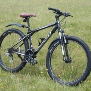 26インチマウンバイク GT Palomar(パロマー)