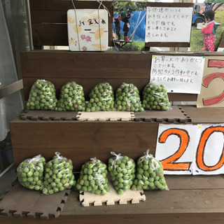 【ネット決済】梅　南高　シロップ　梅酒　梅干し　200円